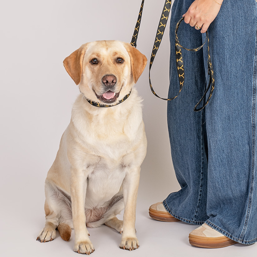 Yellowstone Logo Pet Leash