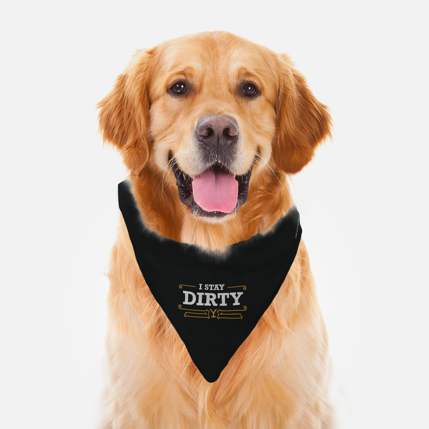 Yellowstone I Stay Dirty Pet Bandana