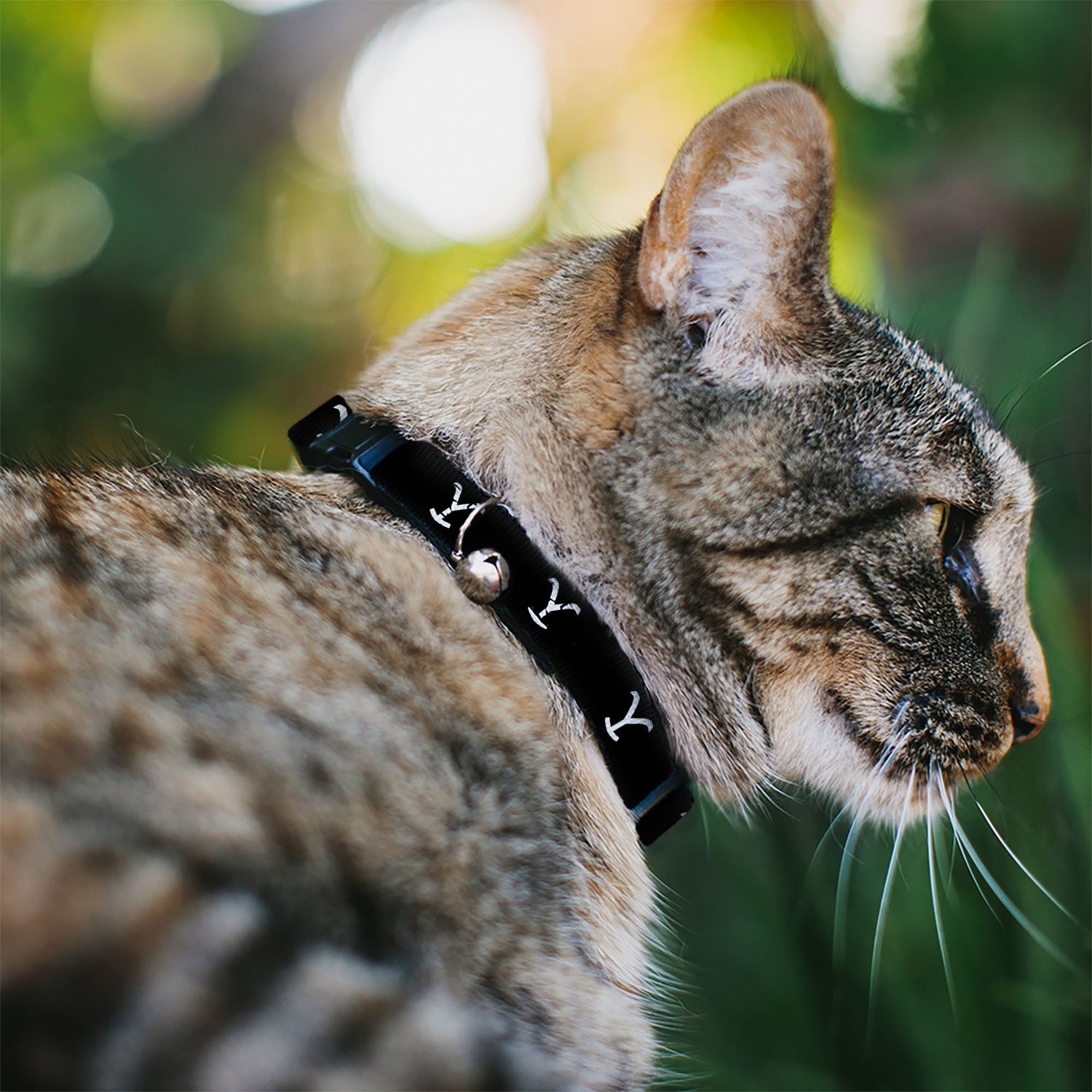 Close up of the breakaway safety buckle and silver jingle bell on the Yellowstone cat collar.