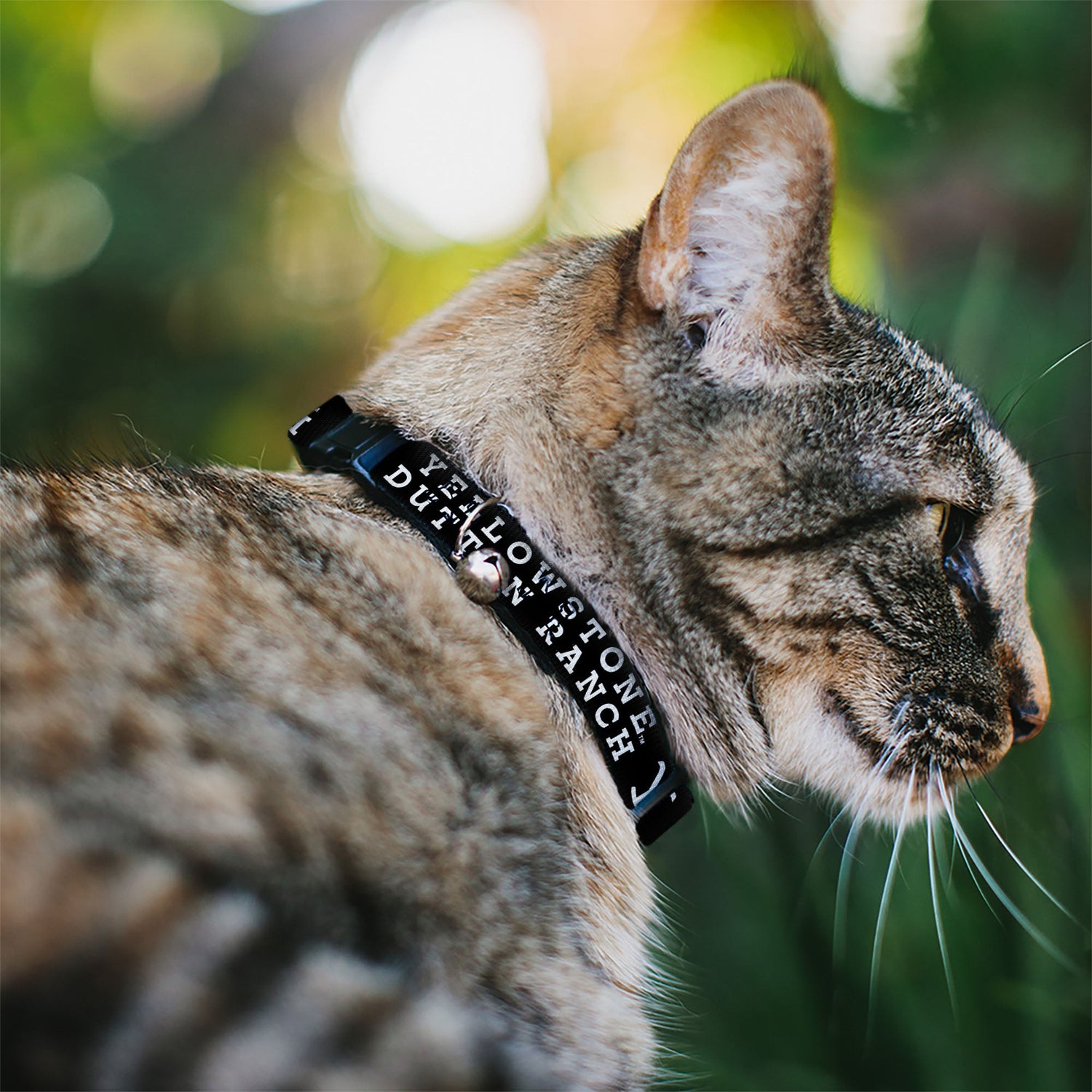 Side view of the breakaway safety buckle on the Yellowstone Dutton Ranch cat collar.