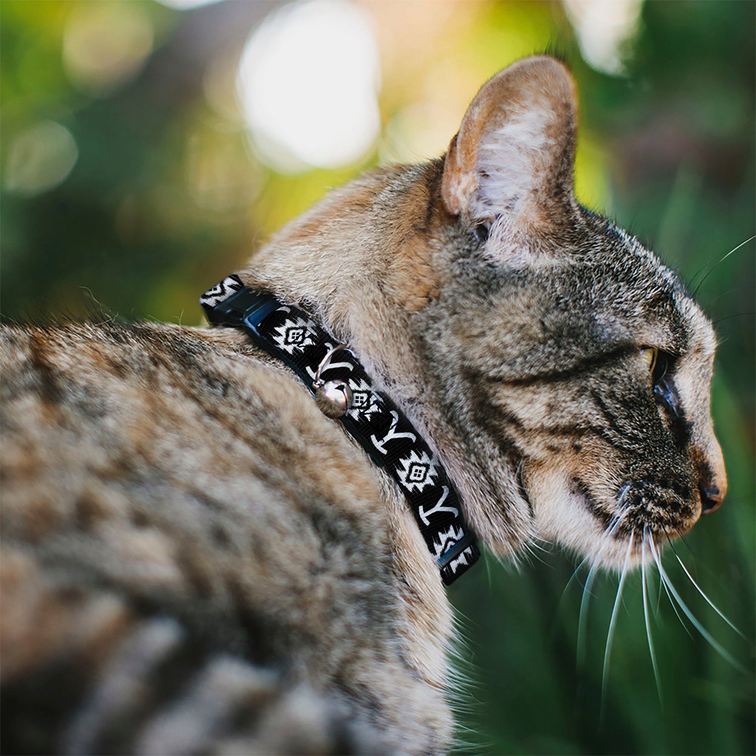 Close-up of the safety breakaway buckle and silver jingle bell on the Yellowstone cat collar