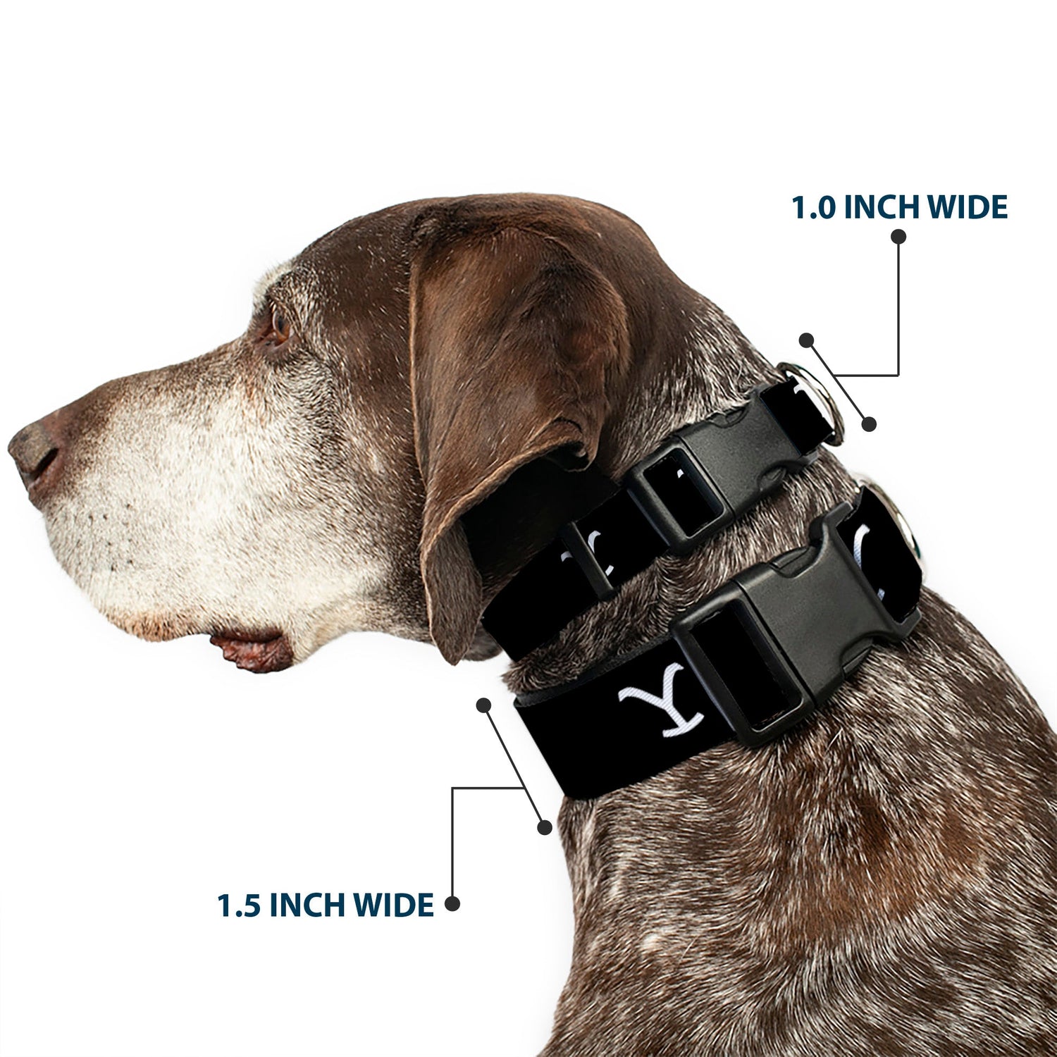 Close up of Yellowstone Y brand logo pattern on dog collar