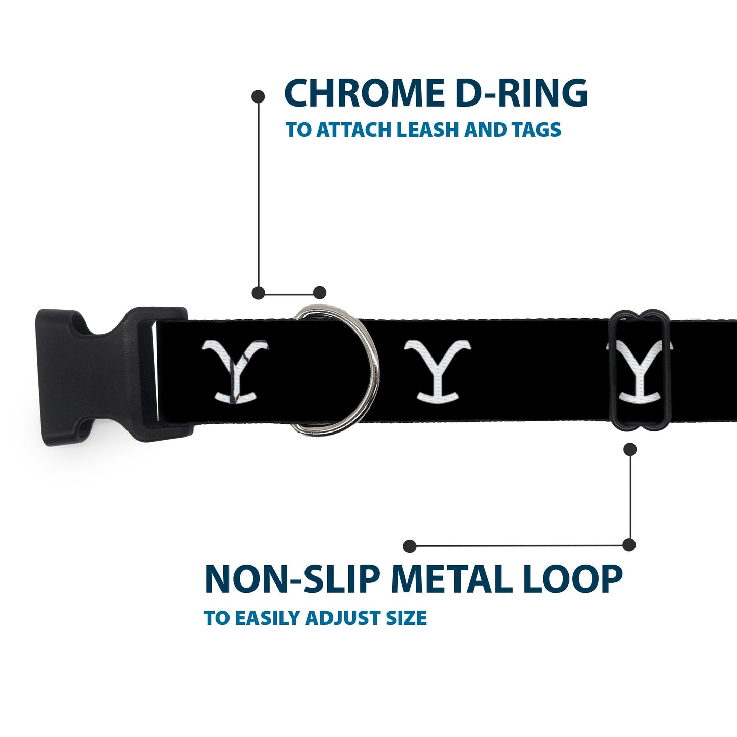 Yellowstone Y logo dog collar laid flat