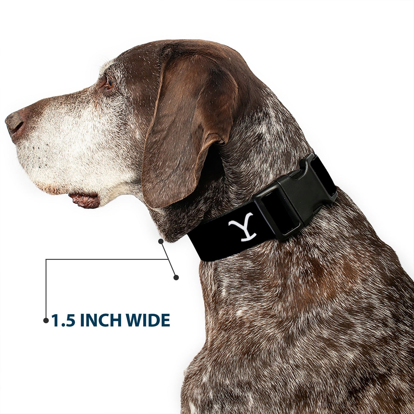 Adjustable slider on Yellowstone Y logo pet collar