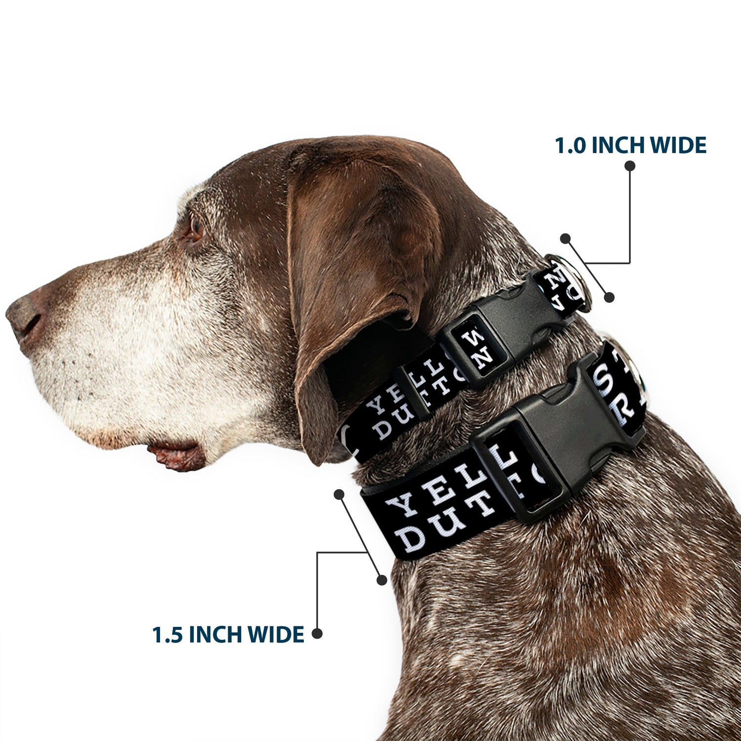 Close-up of the Y logo on the Dutton Ranch pet collar