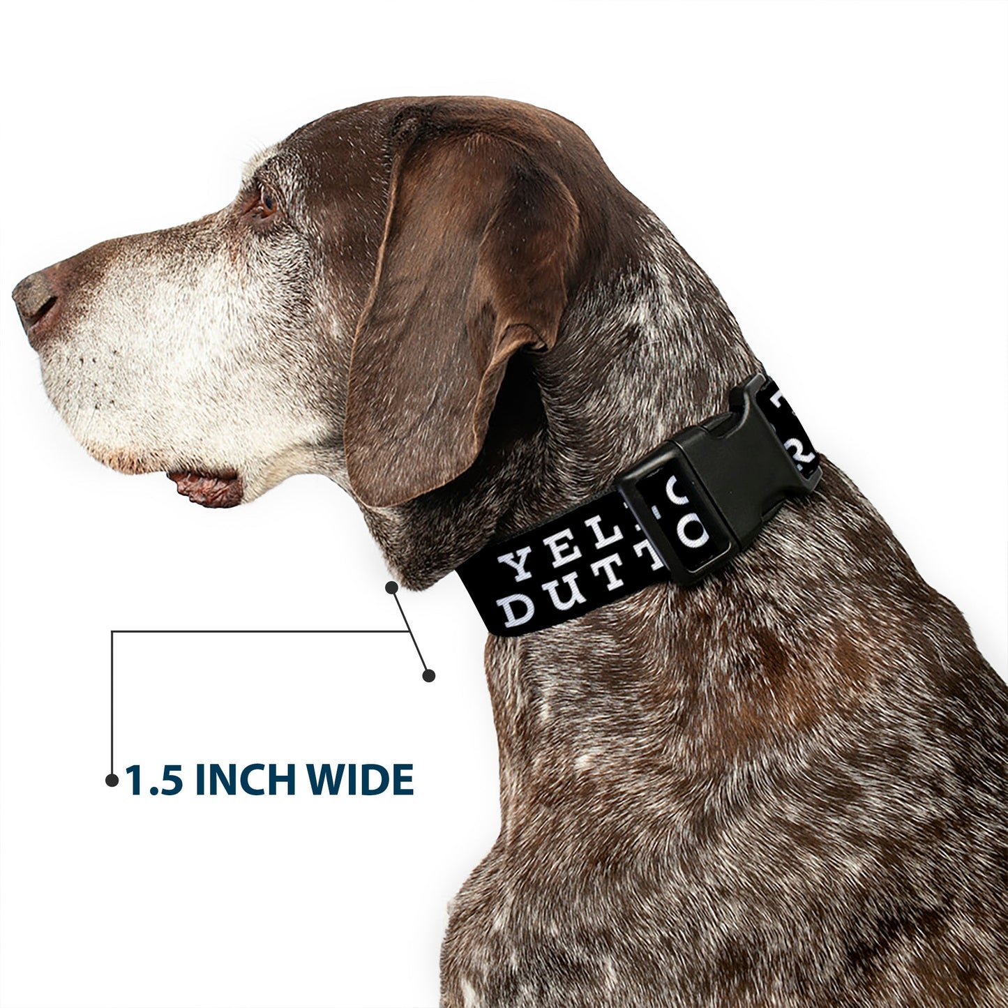Full length view of the black and white Yellowstone dog collar