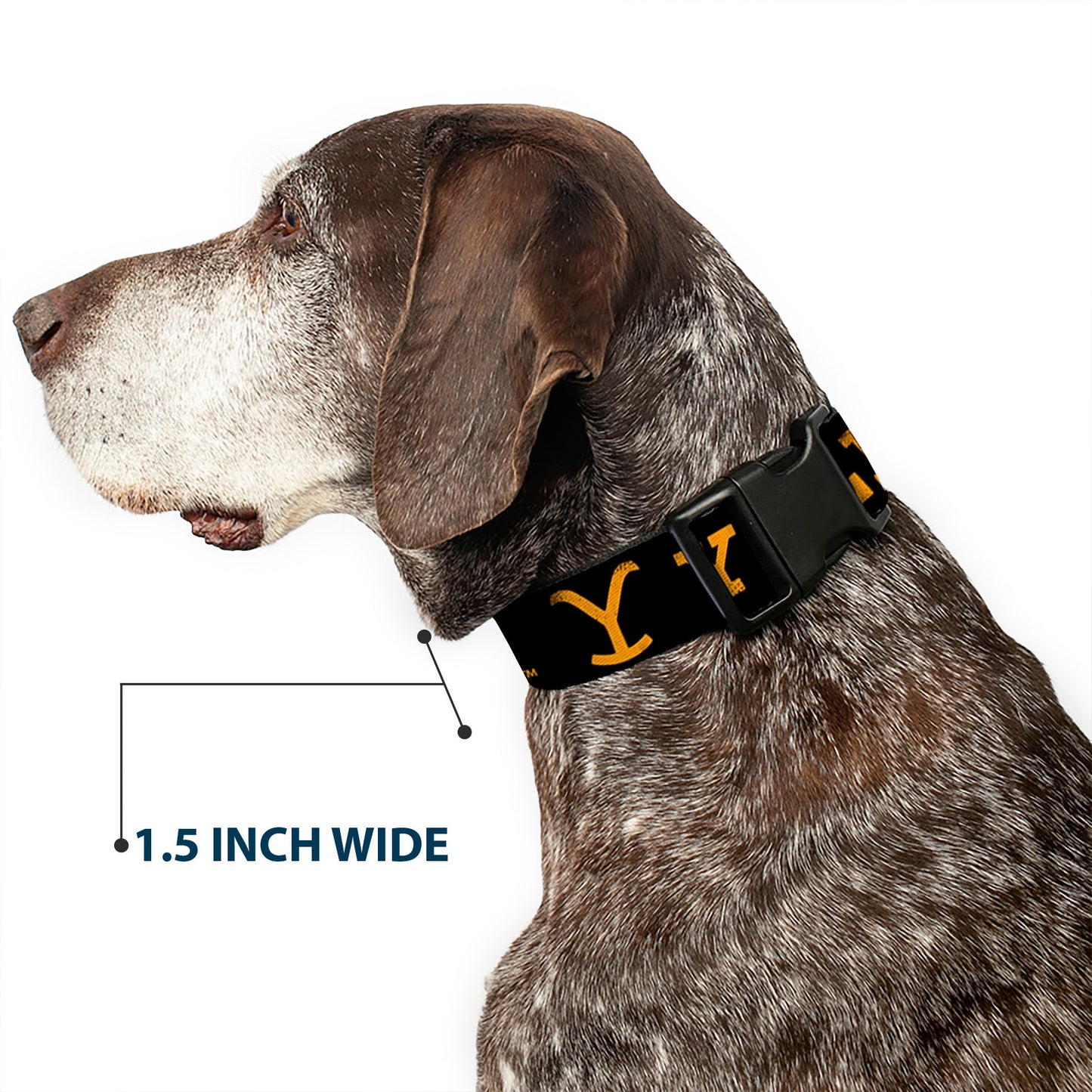 High-density polyester material detail