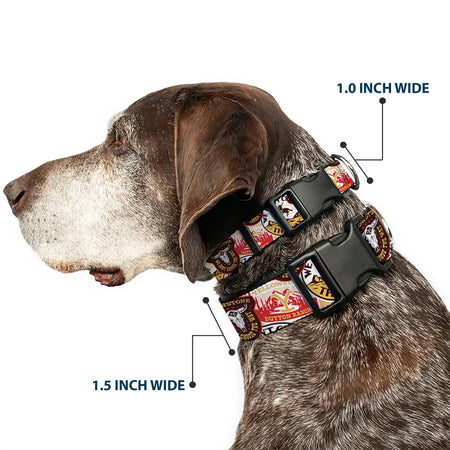 Close up of the durable plastic buckle on Yellowstone collar