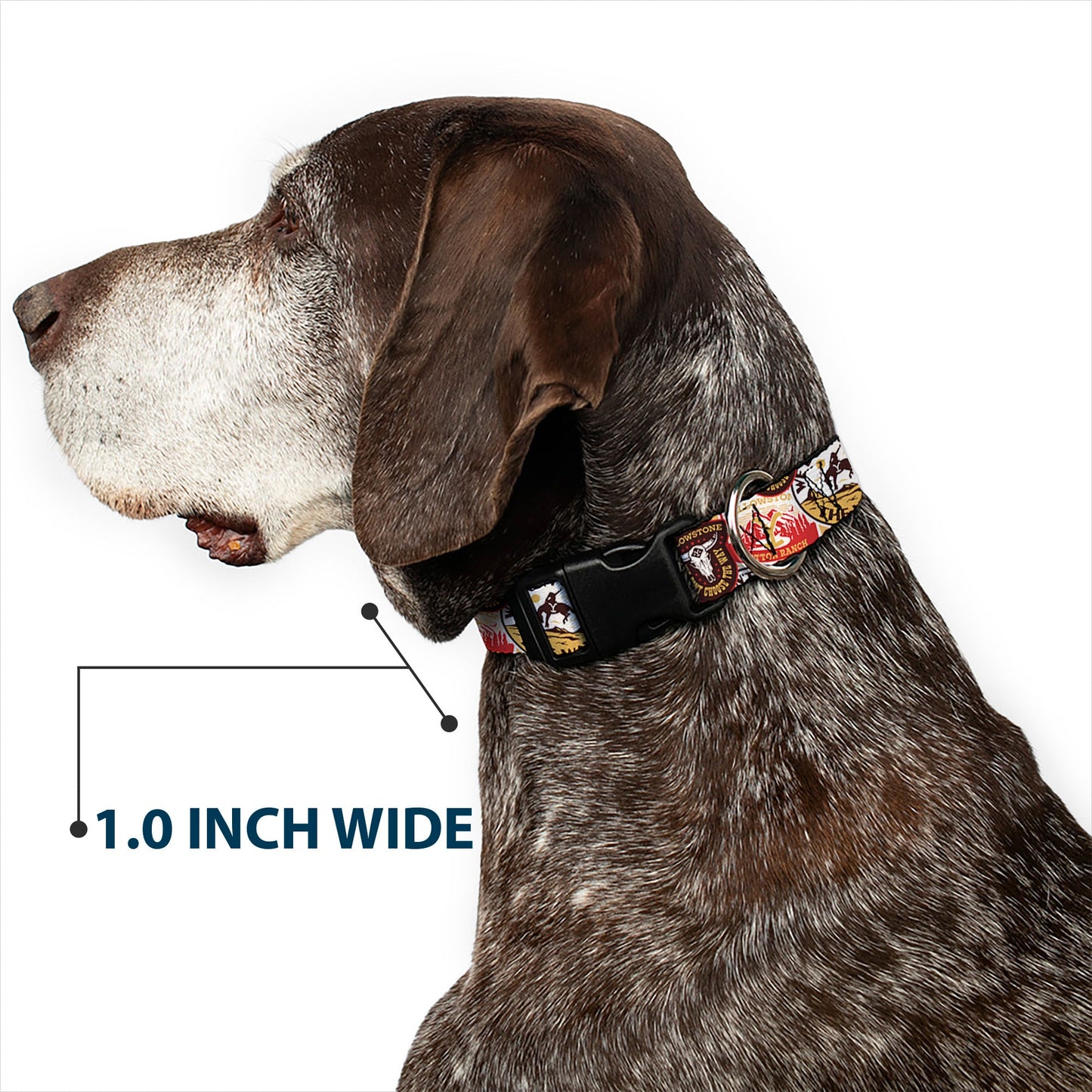 Yellowstone logo branding on pet collar webbing