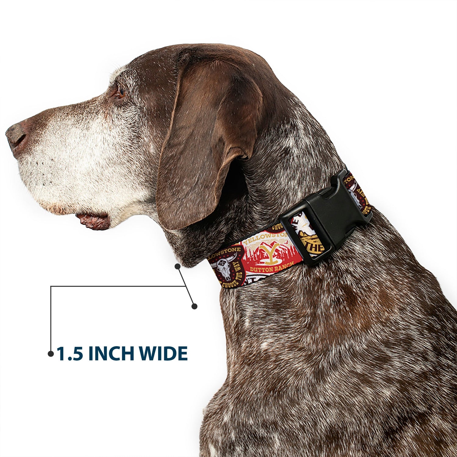 Profile view of the stacked patches design dog collar