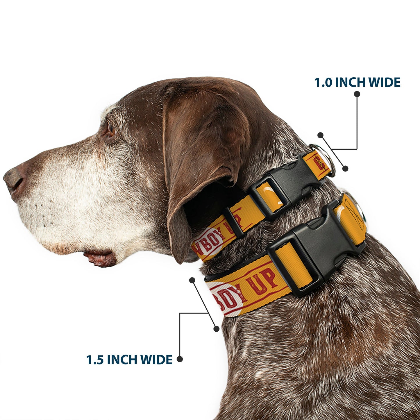 Close up of the plastic clip on the Yellowstone pet collar