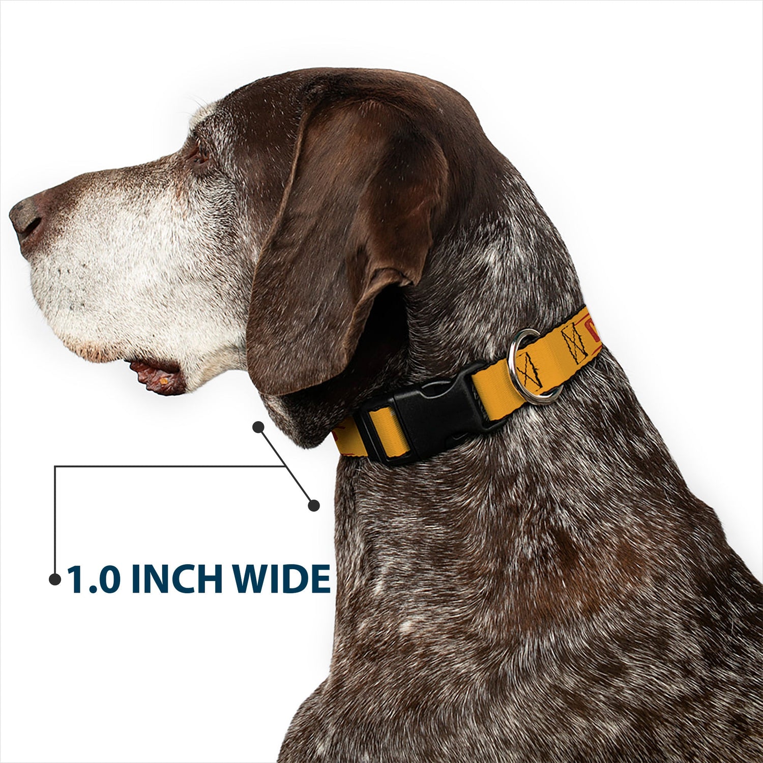 Adjustable slider on the Yellowstone pet collar