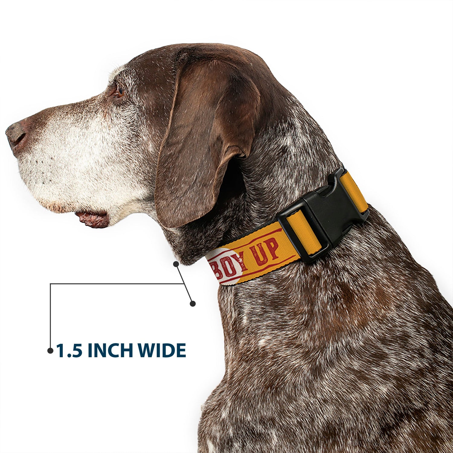 Full length of the Cowboy Up dog collar laid flat