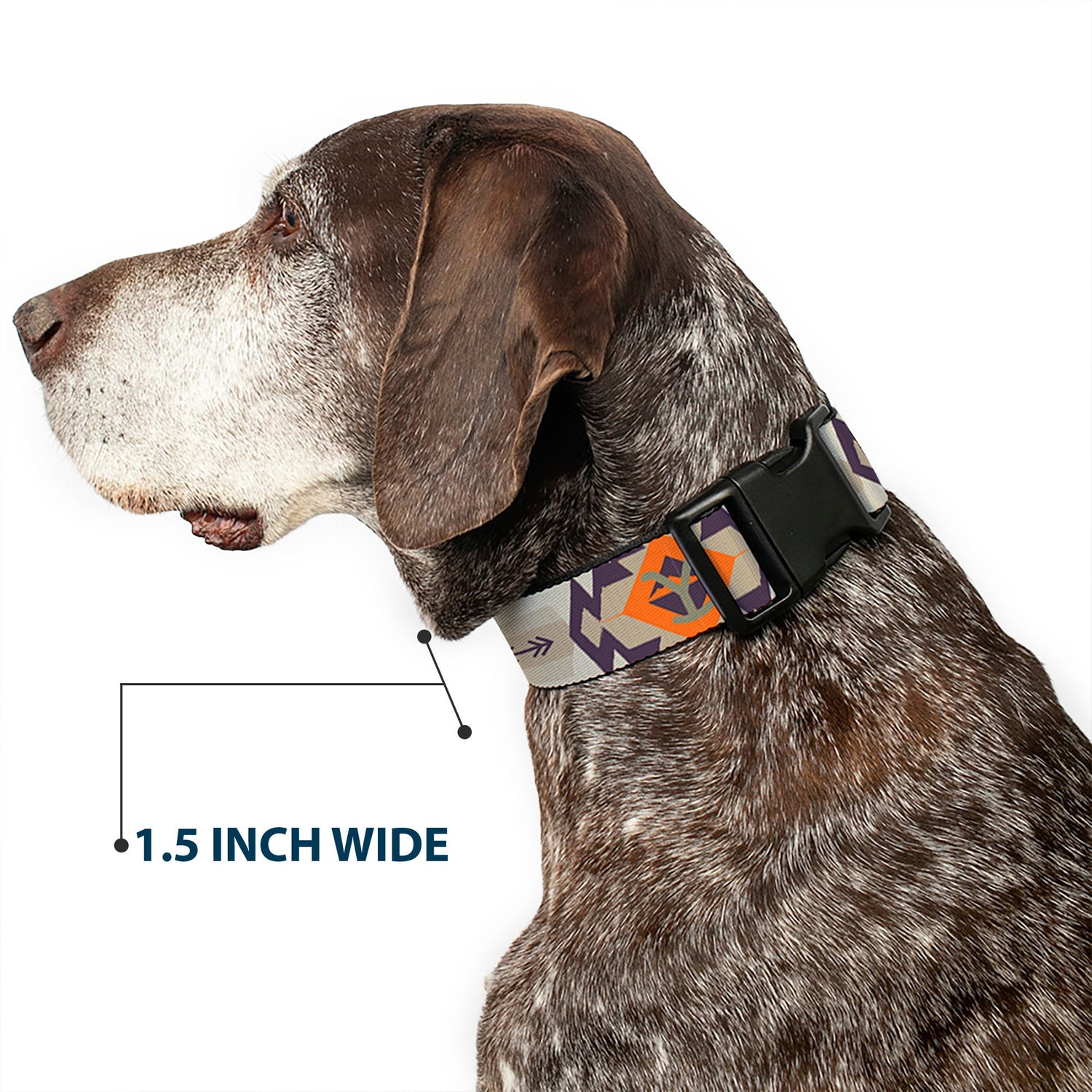 Official Yellowstone pet merchandise packaging