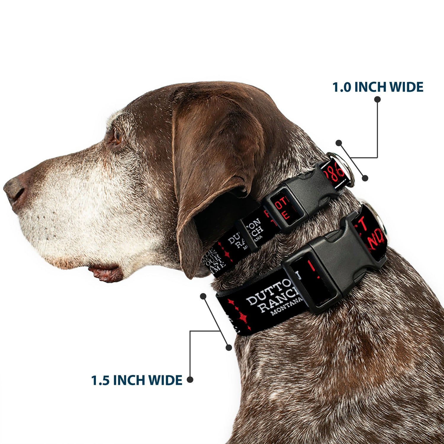 Close-up of the durable plastic clip on the Yellowstone pet collar