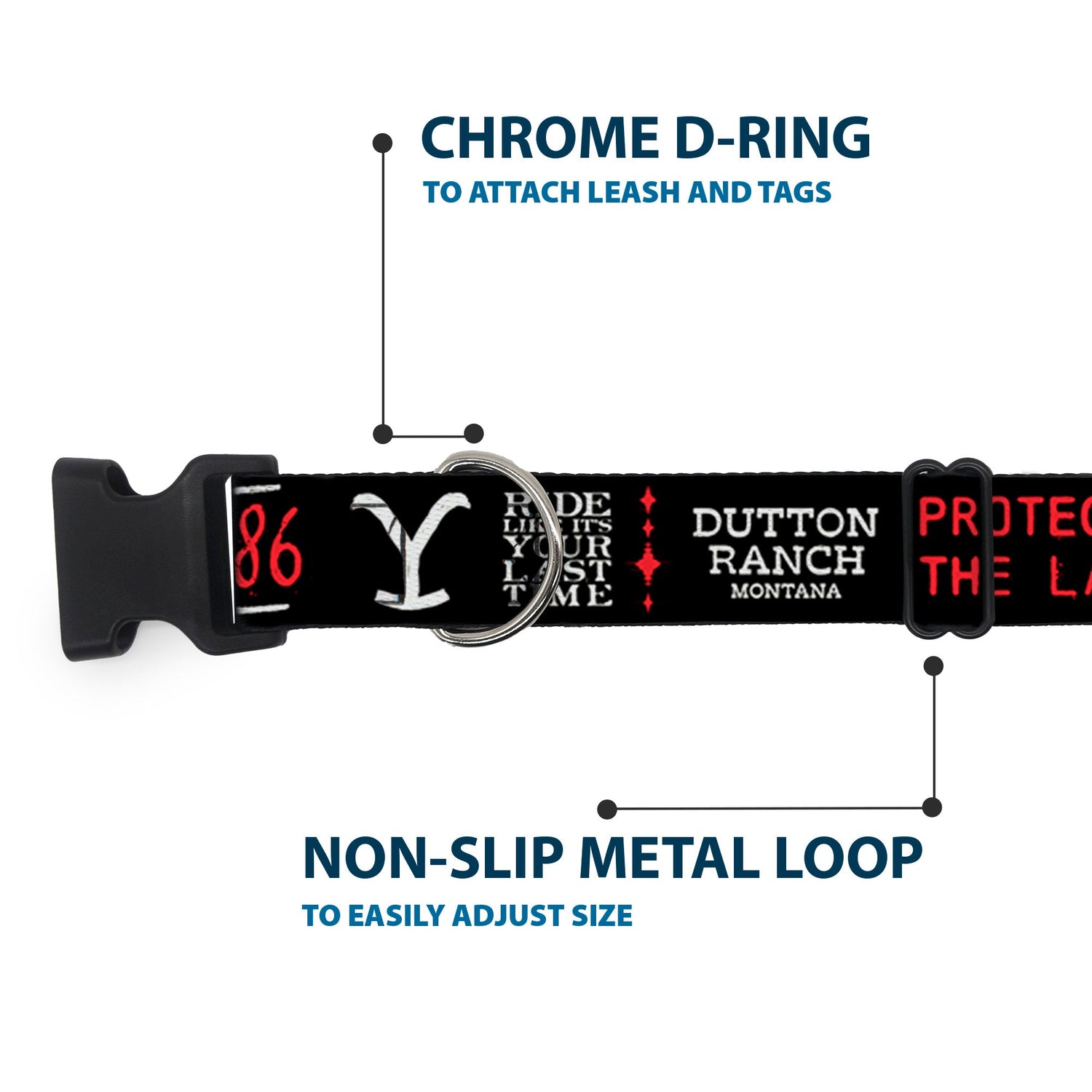 Steel D-ring attachment point for Yellowstone dog leashes