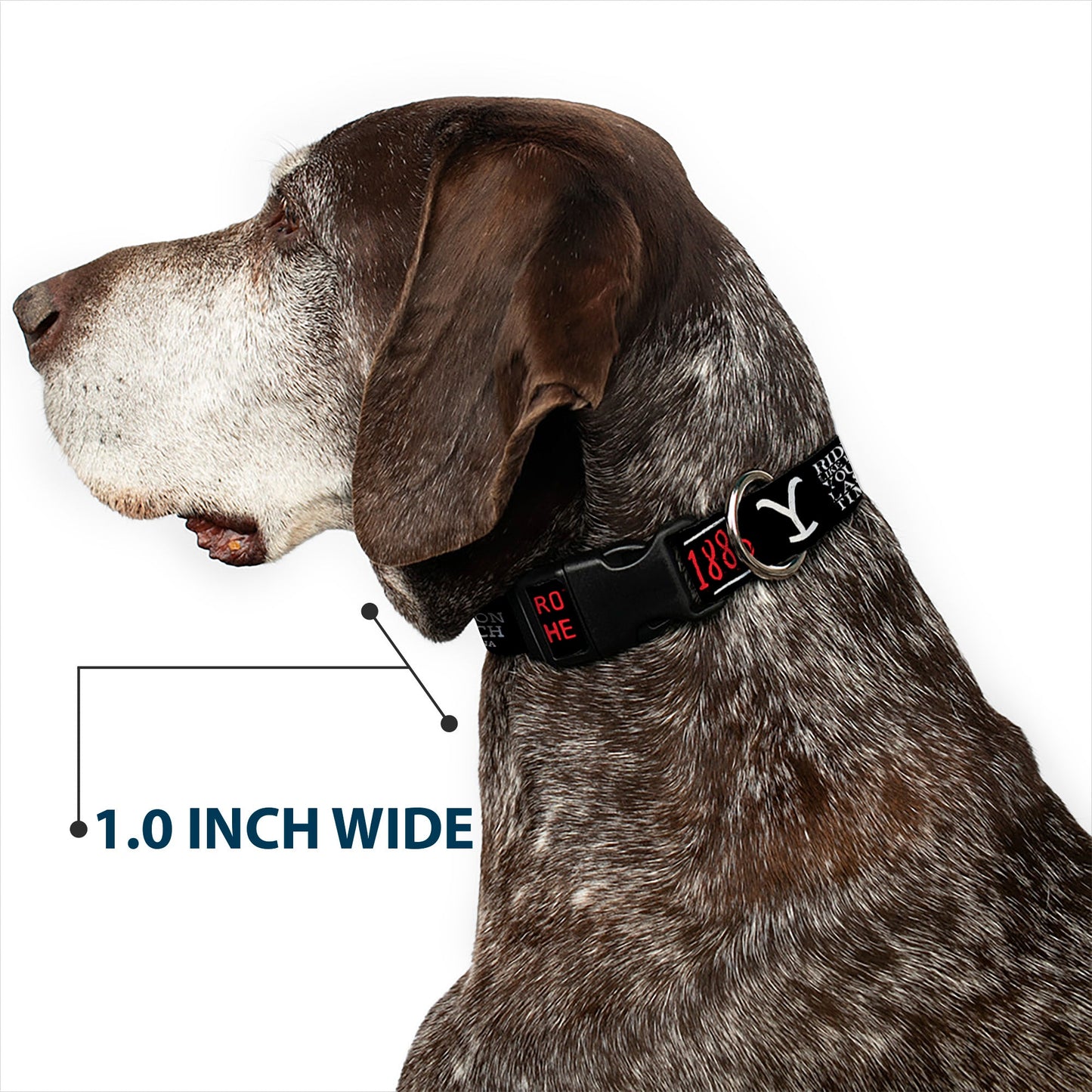 Yellowstone Dutton Ranch 1886 Icons Plastic Clip Pet Collar