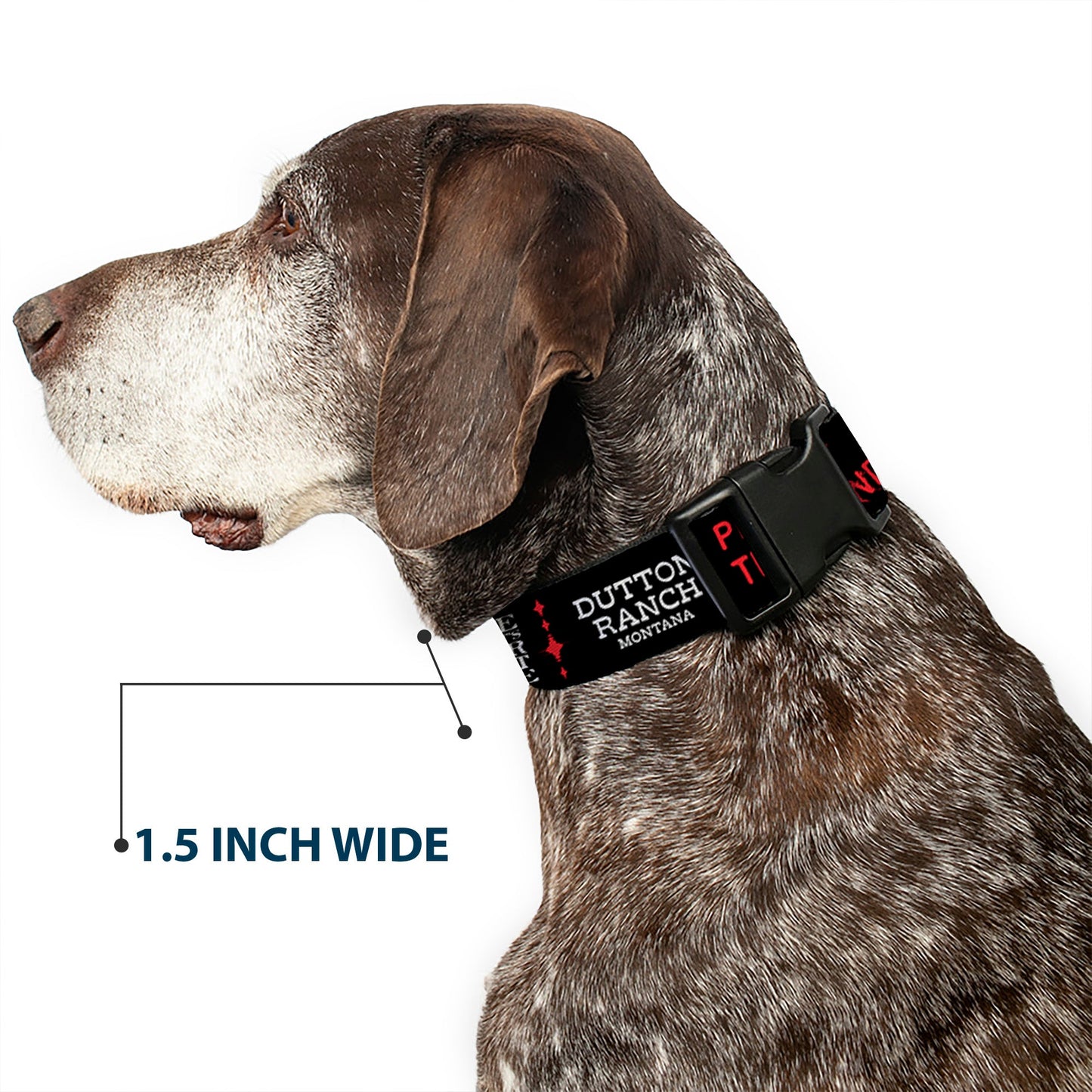 Yellowstone Dutton Ranch 1886 Icons Plastic Clip Pet Collar