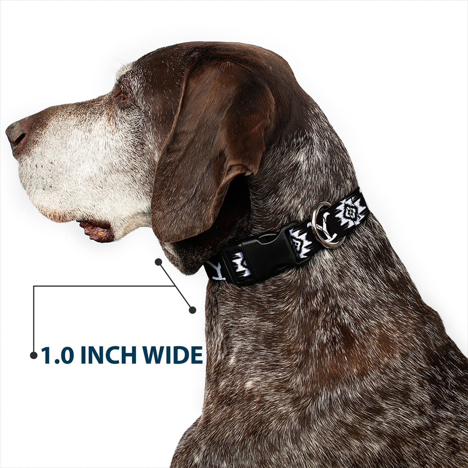 Full length view of the Yellowstone Dutton Ranch pet collar