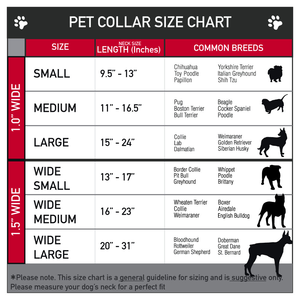 Yellowstone merchandise pet collar packaging and branding.