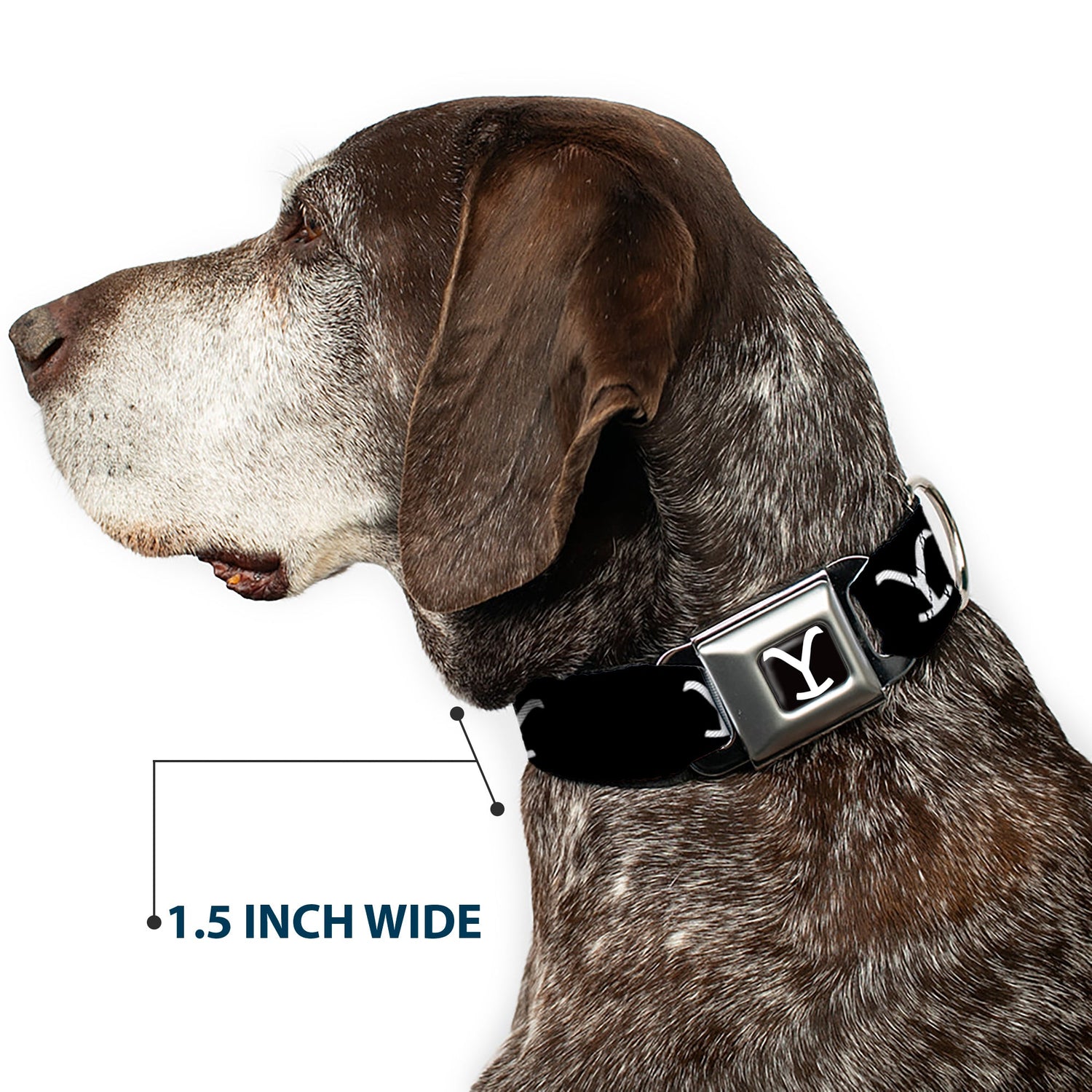 Side profile of the seatbelt buckle release on Yellowstone dog collar