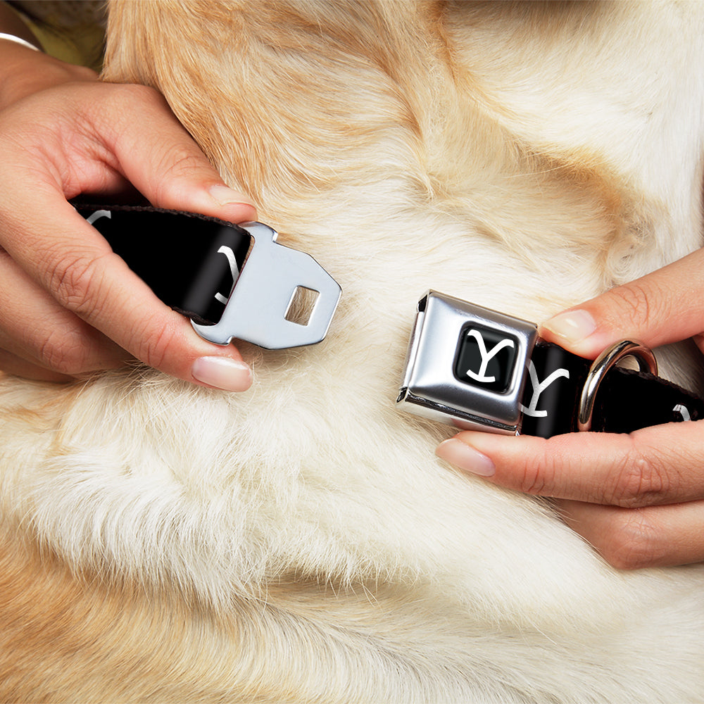Yellowstone official licensed pet gear logo on collar packaging