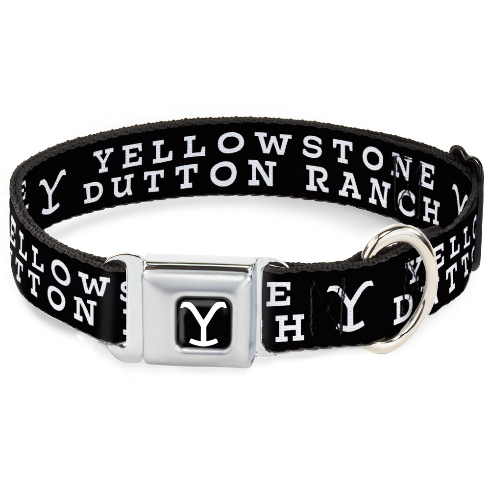 Yellowstone Y Logo Dutton Ranch Seatbelt Buckle Dog Collar main view
