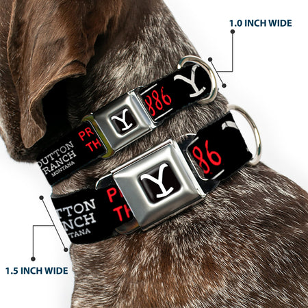 Close-up of the Dutton Ranch 1886 icons on the dog collar.
