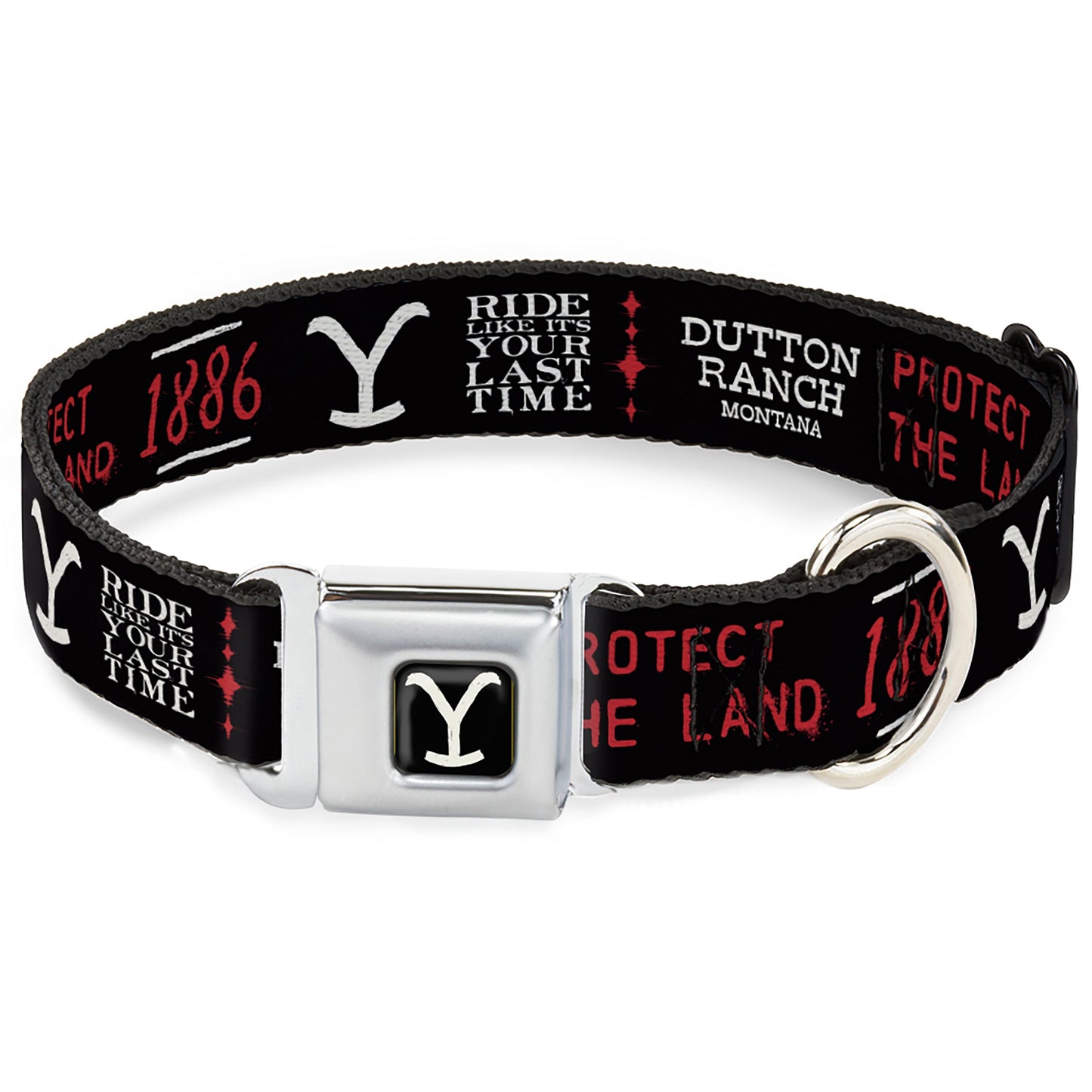 Yellowstone Y Logo seatbelt buckle pet collar in black and white.