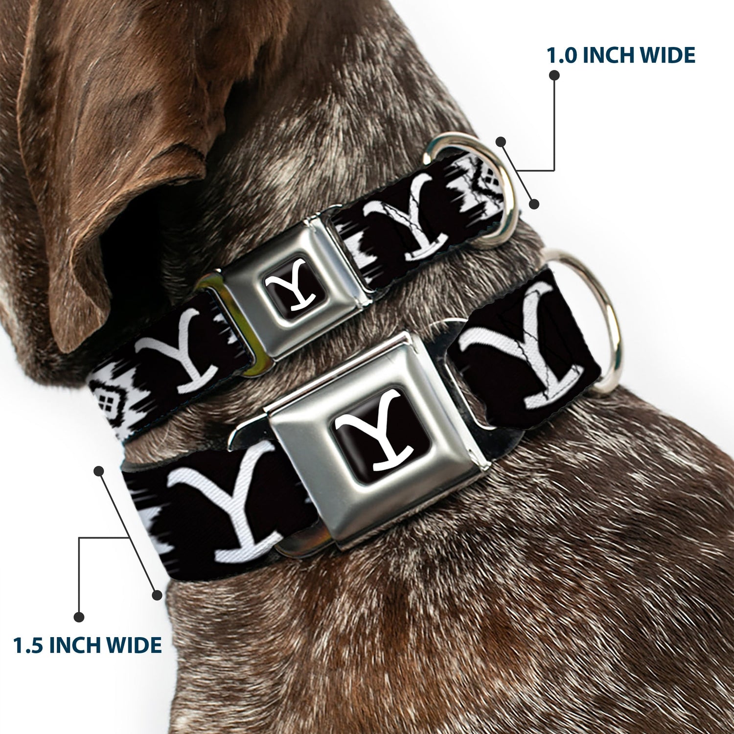 Close up of the push-button seatbelt buckle release on Yellowstone dog collar