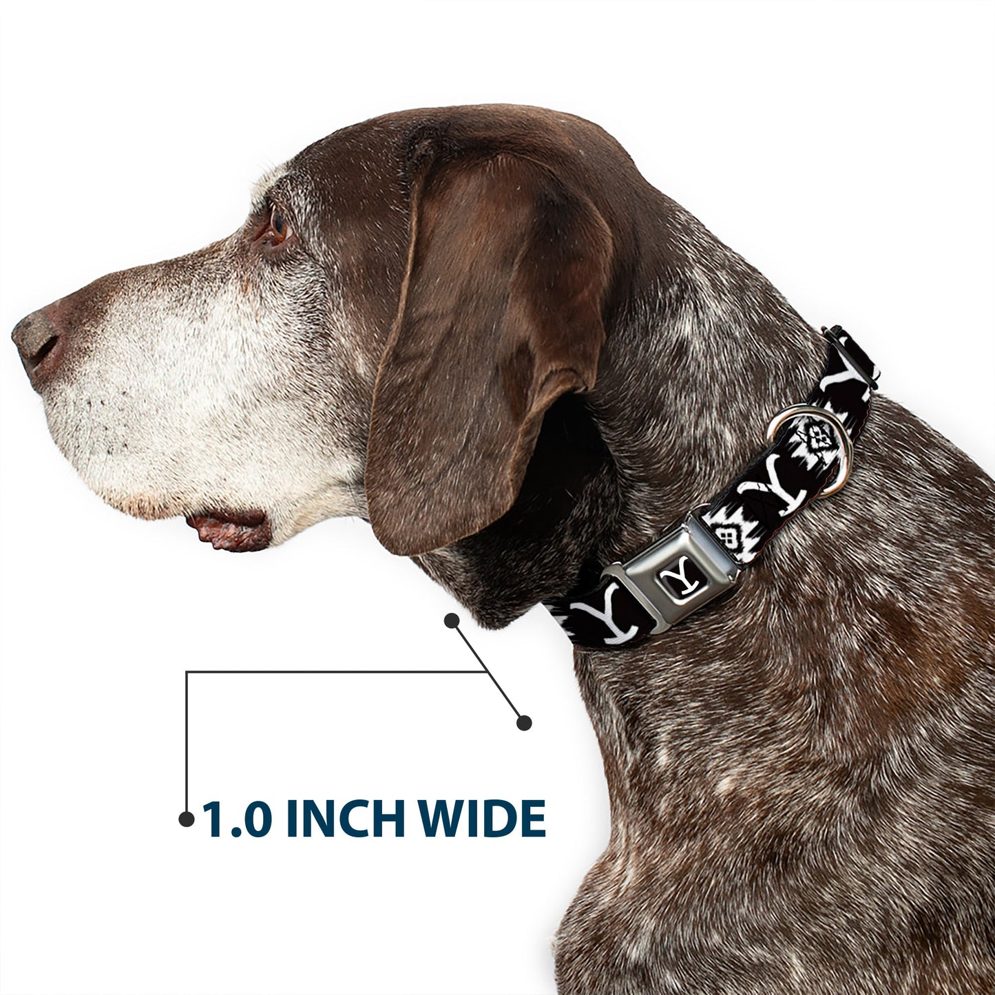 Yellowstone Y Logo Black & White Seatbelt Buckle Dog Collar