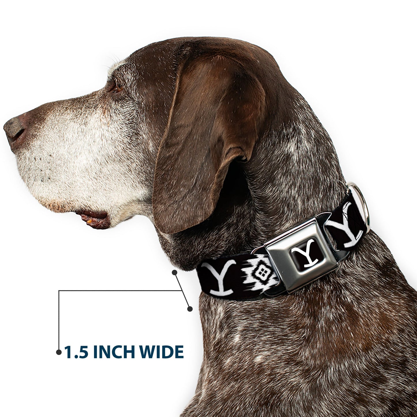 Yellowstone Y Logo Black & White Seatbelt Buckle Dog Collar
