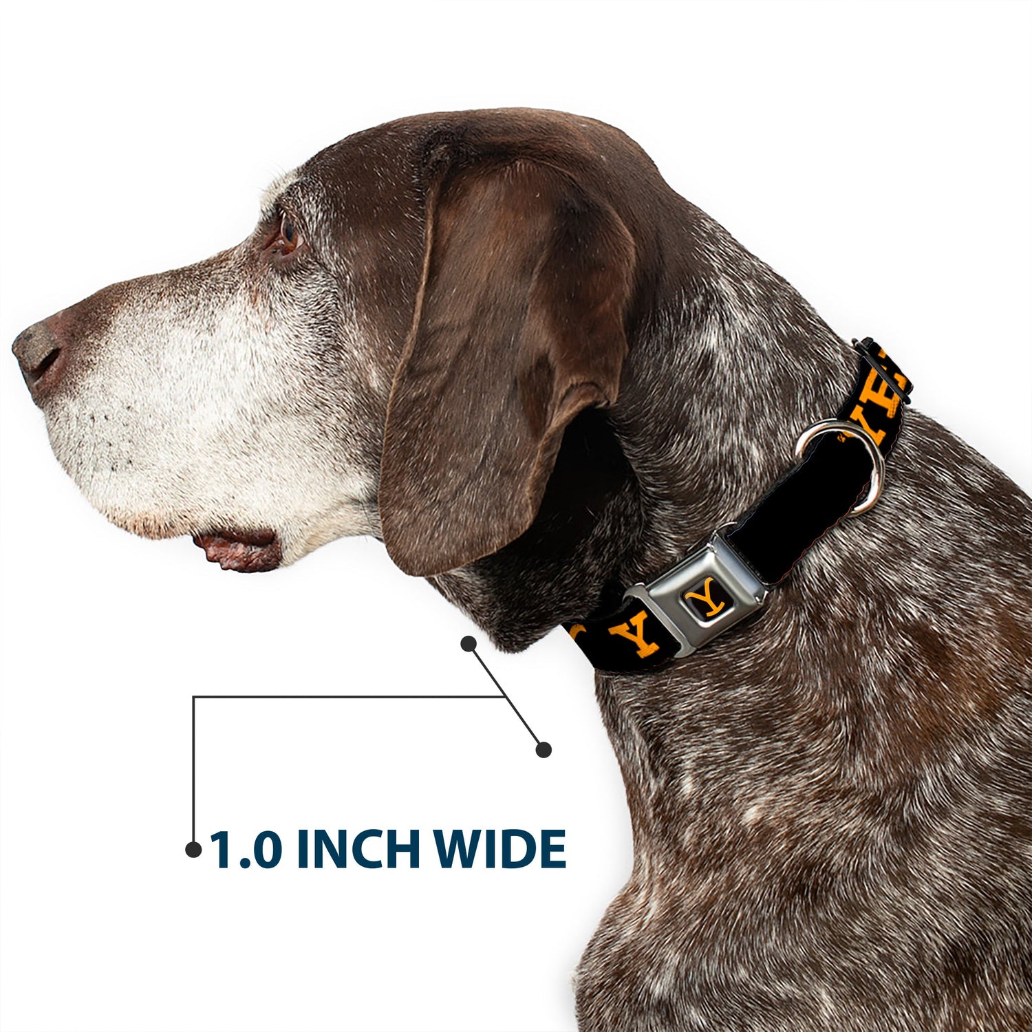 The Yellowstone pet collar laid out flat showing the repeat pattern.