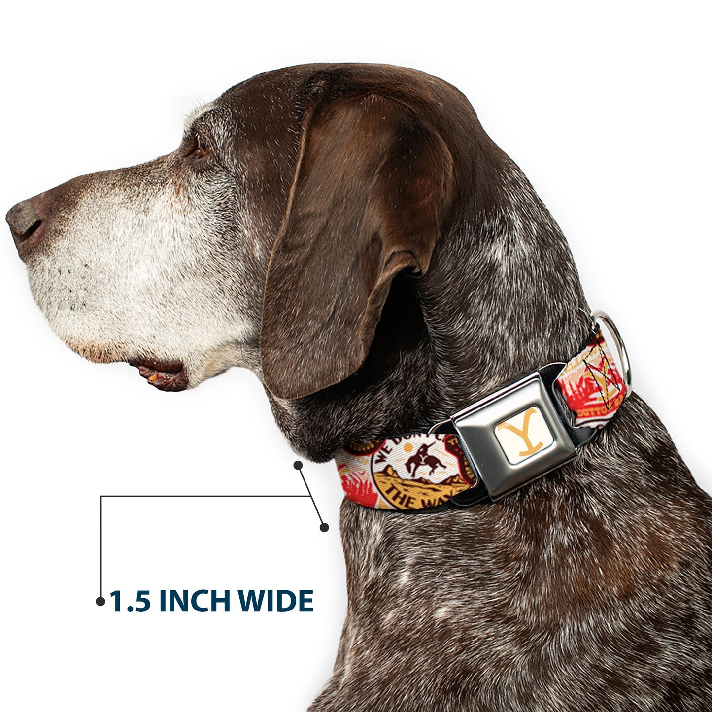 Yellowstone Y Logo Patches Seatbelt Buckle Pet Collar