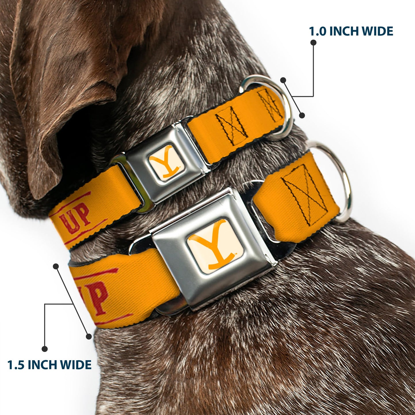 Close-up of the Cowboy Up text in yellow red and white on the Yellowstone pet collar