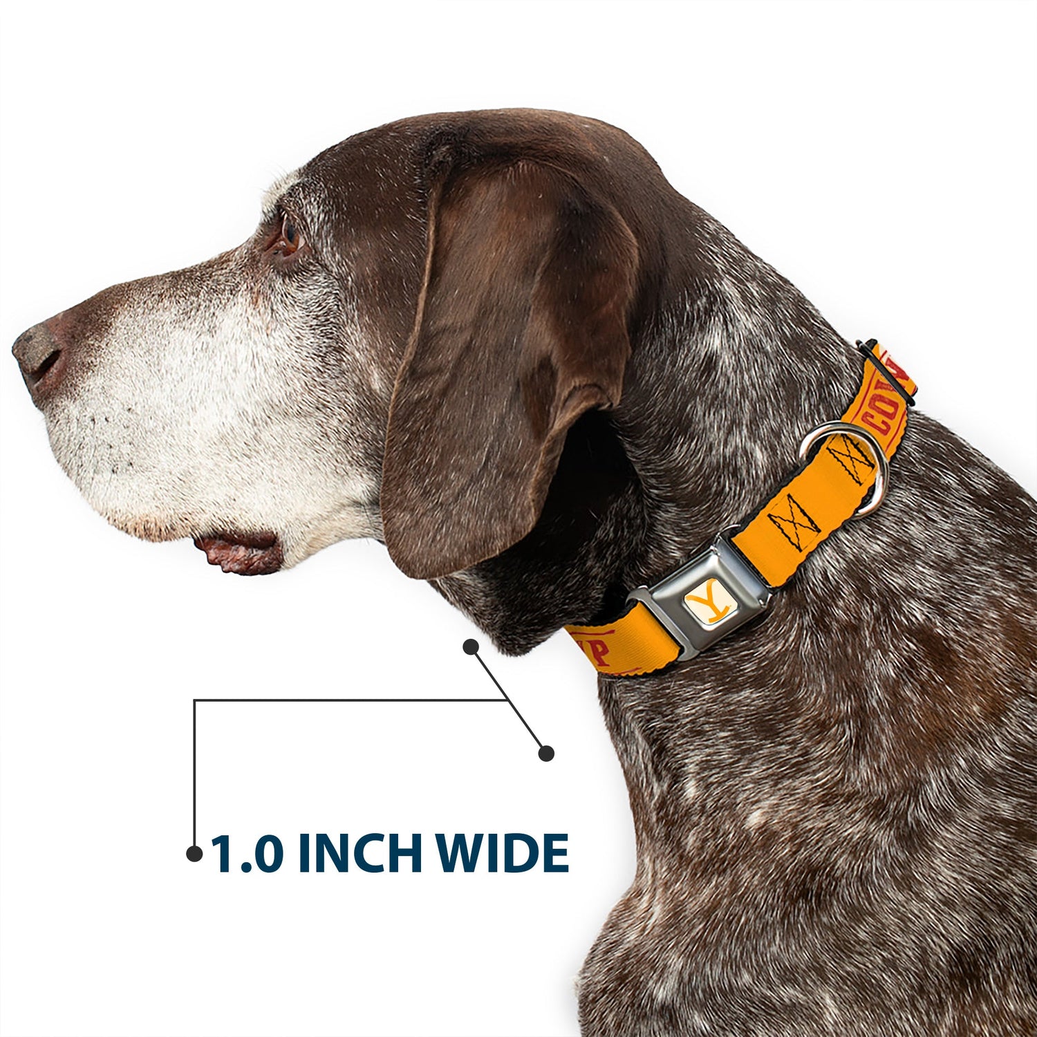 Adjustable strap of the Yellowstone Cowboy Up pet collar showing pattern detail