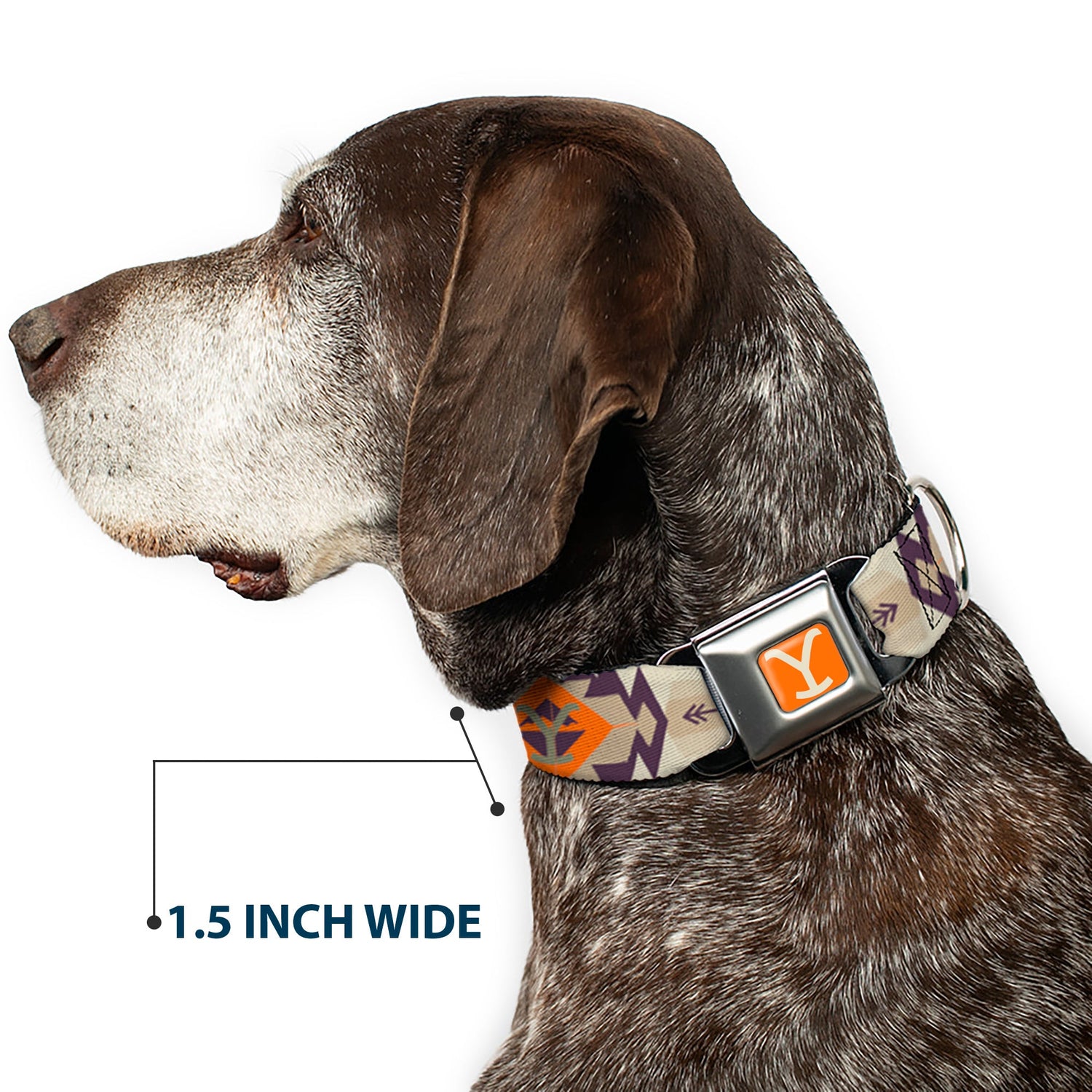 Yellowstone pet collar laid flat showing full tribal design