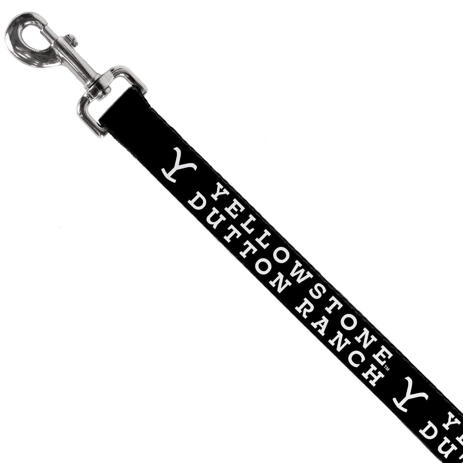 Detailed view of the iconic Y brand on the polyester leash.