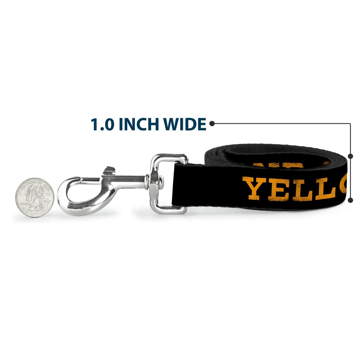 Dog leash handle showing the reinforced stitching and durable material