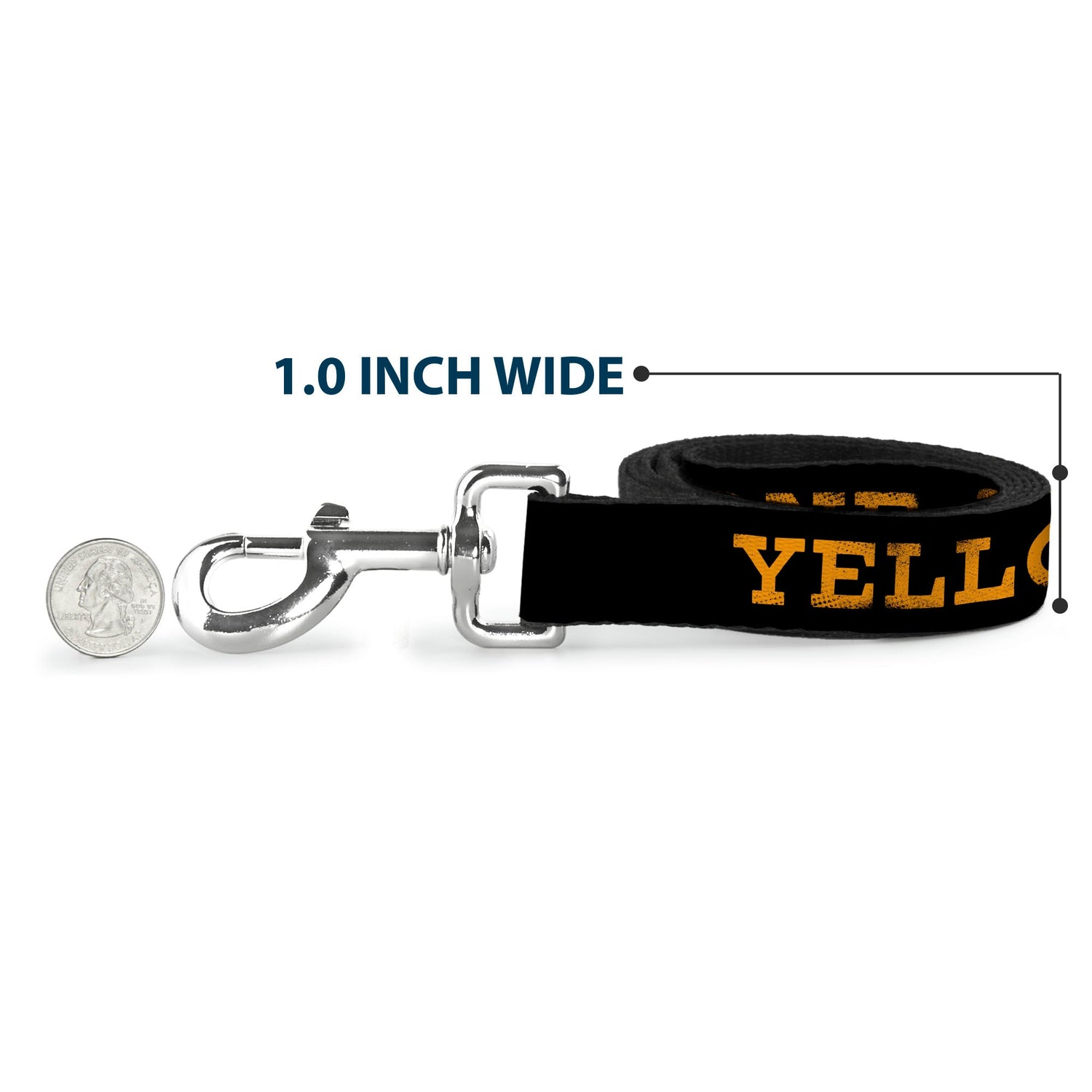 Dog leash handle showing the reinforced stitching and durable material