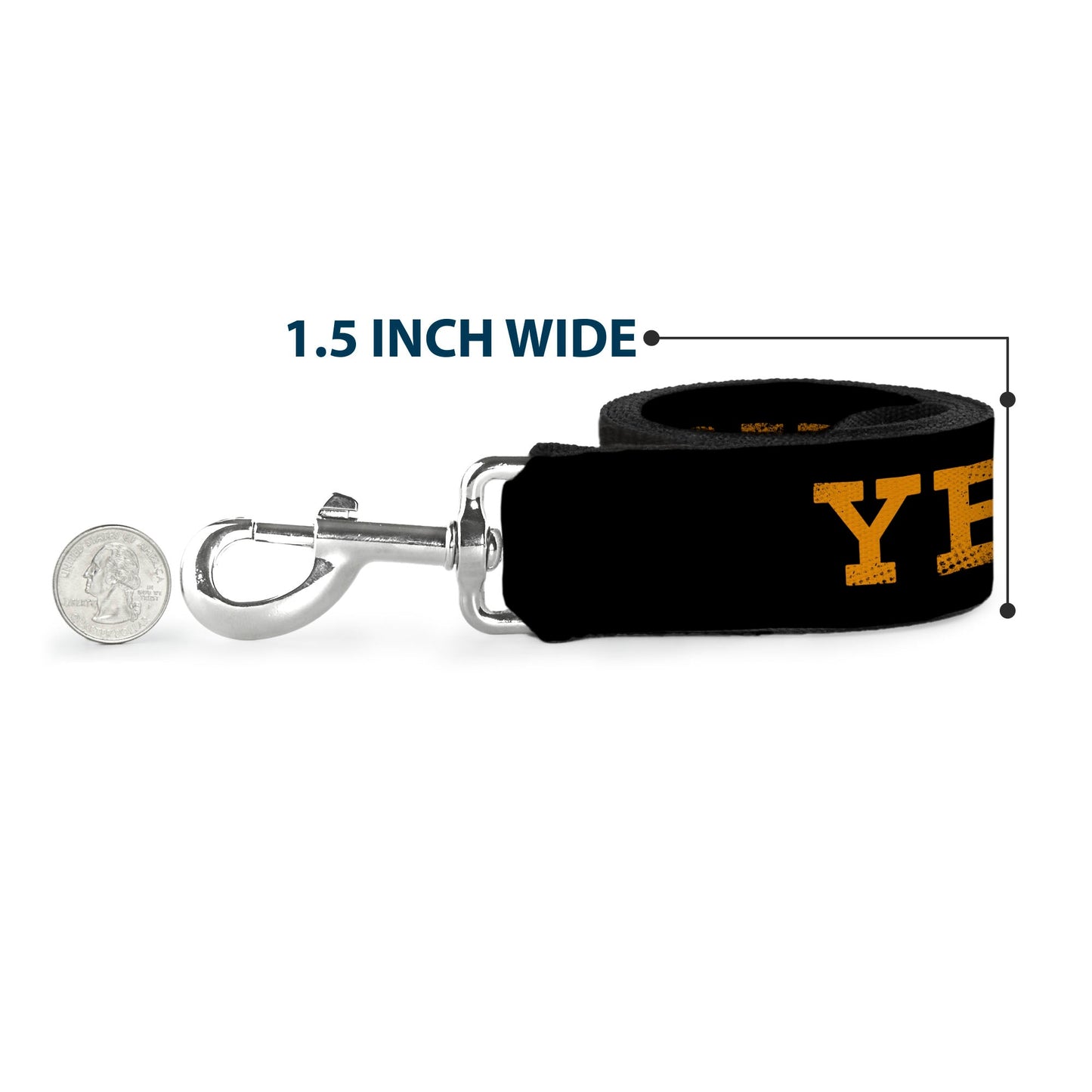 Packaging of the official Yellowstone licensed dog leash