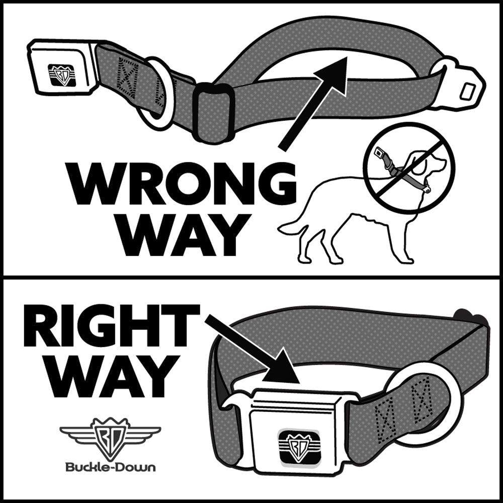 Yellowstone Y Logo Dutton Ranch Seatbelt Buckle Pet Collar