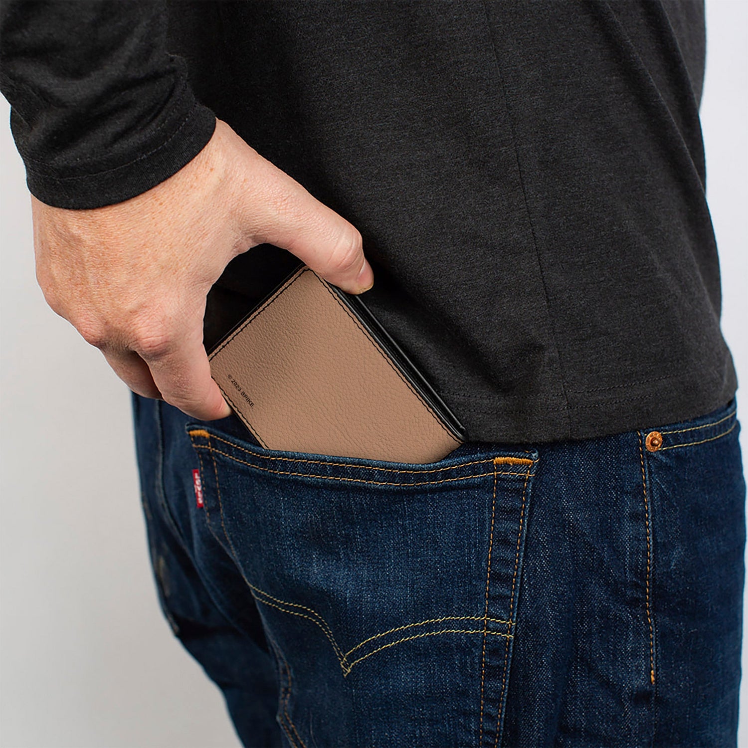 Top-down view of the full-length cash compartment