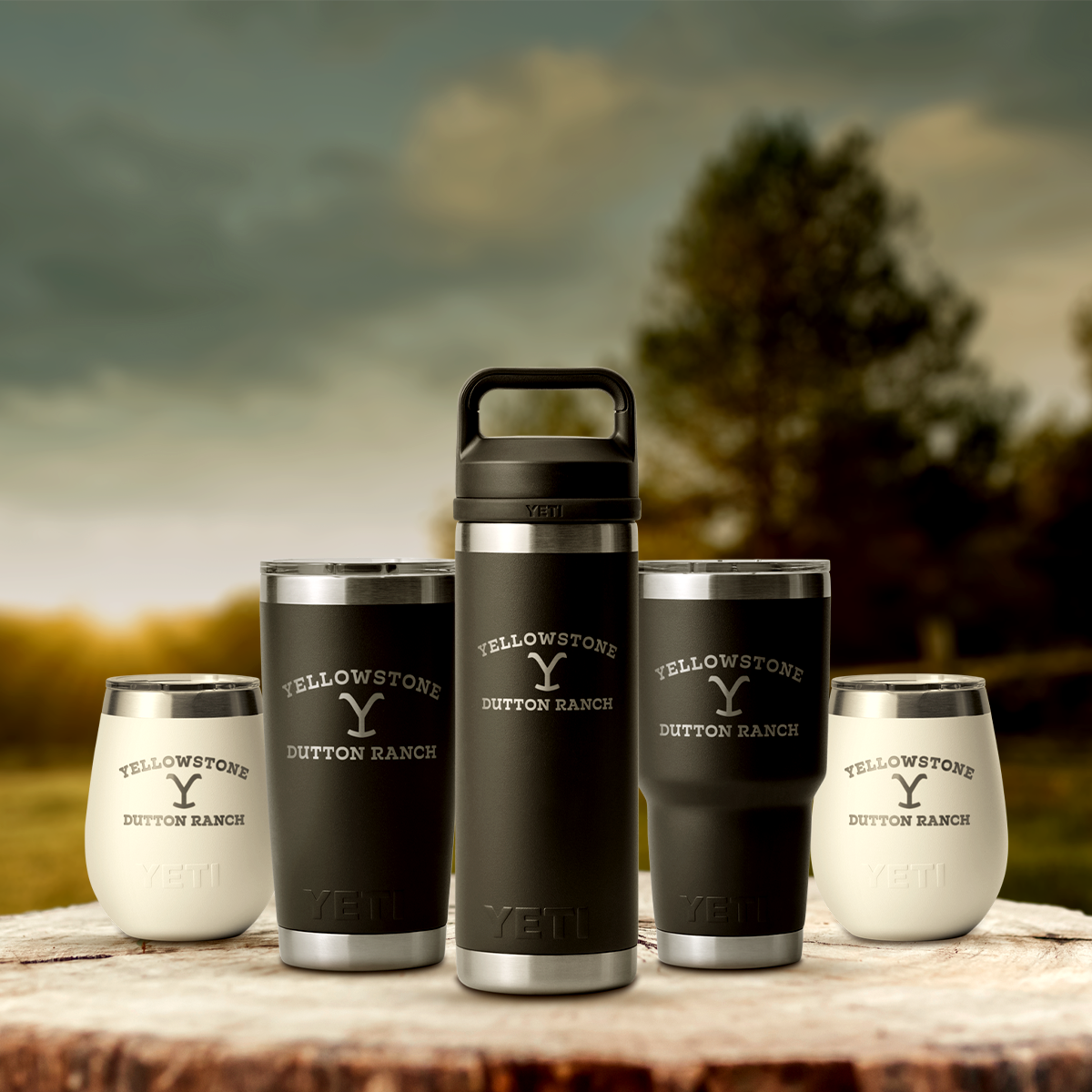 Yellowstone x Yeti Rambler®️ 10 oz Wine Tumbler