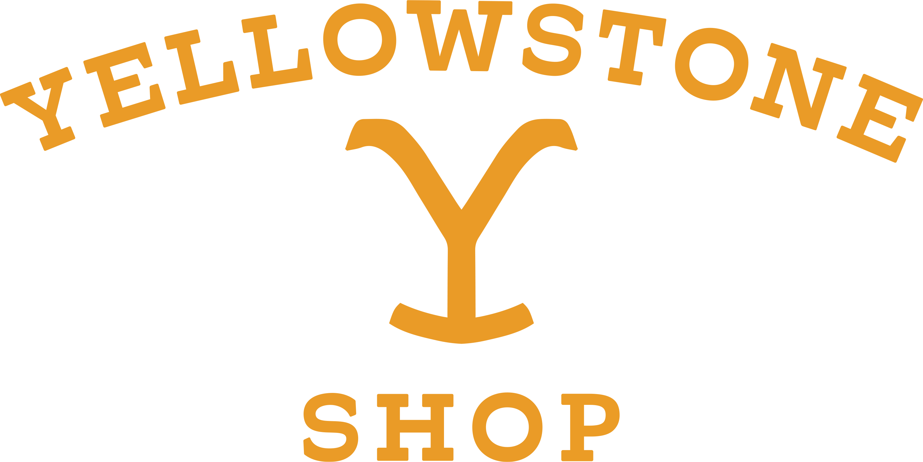 Yellowstone Shop