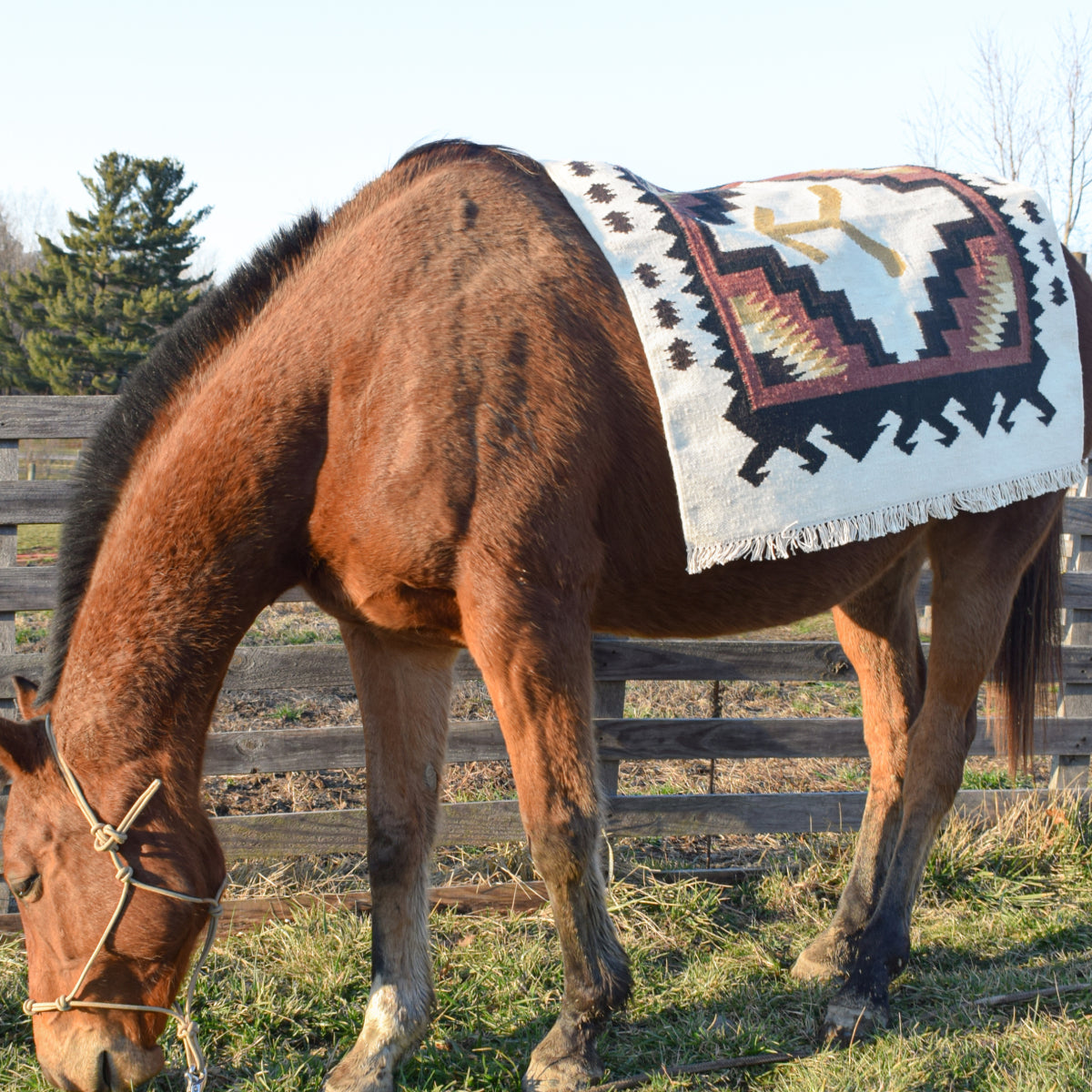 Yellowstone Woven Saddle Blanket