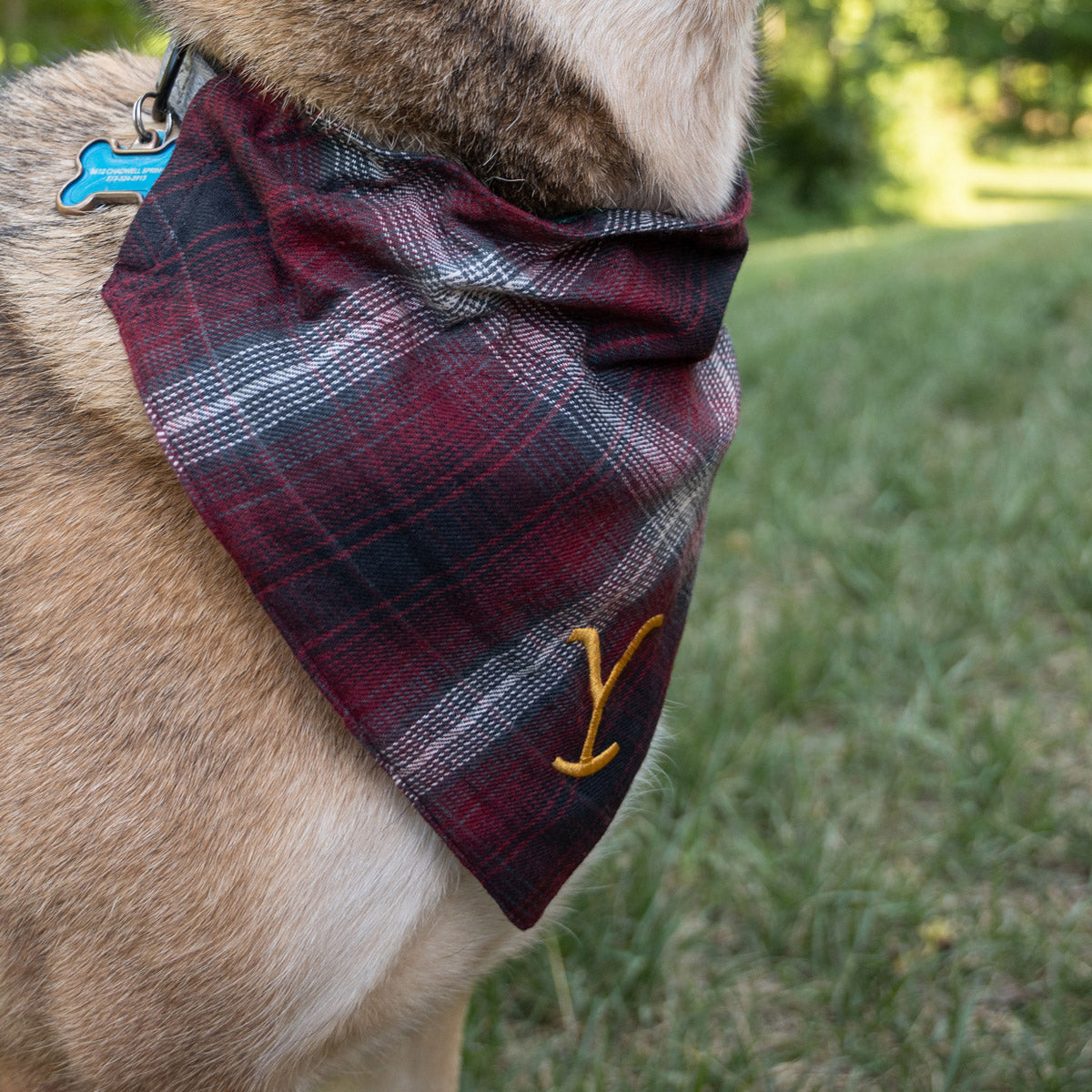 Yellowstone Y Logo Plaid Doggie Flandana