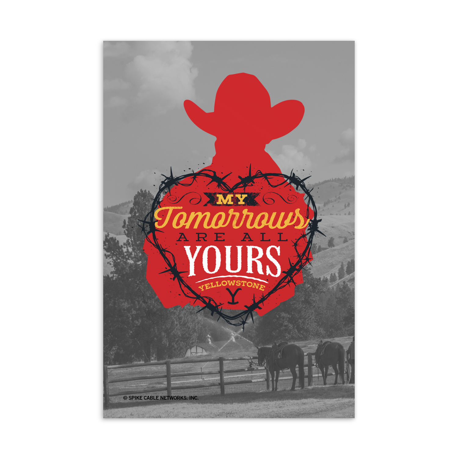 Yellowstone My Tomorrows Are All Yours Sceneory  Standard Postcard